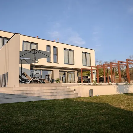 Carlotta * 비지나다